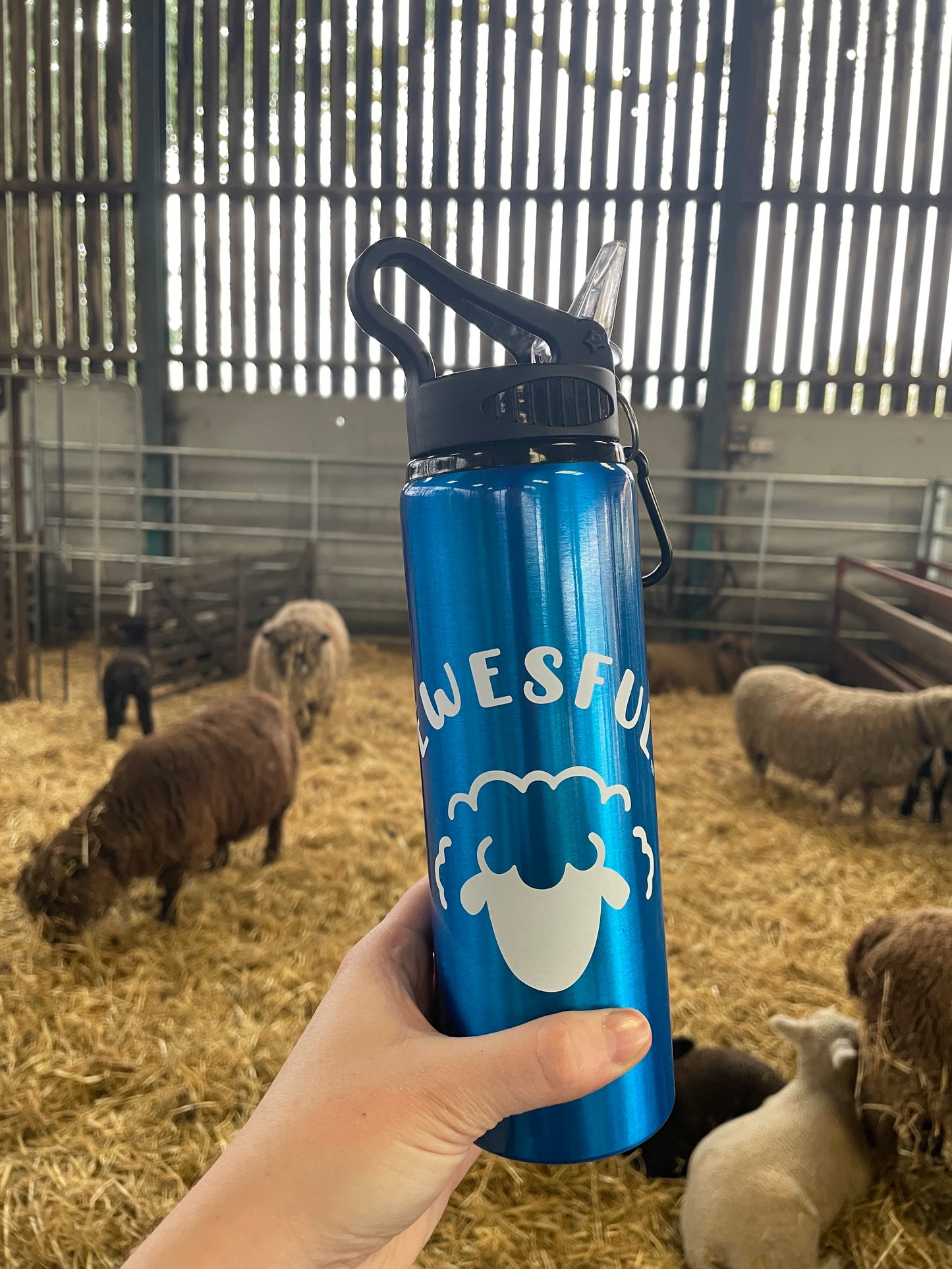 Sheep Logo 800ml Water Bottle (Blue)