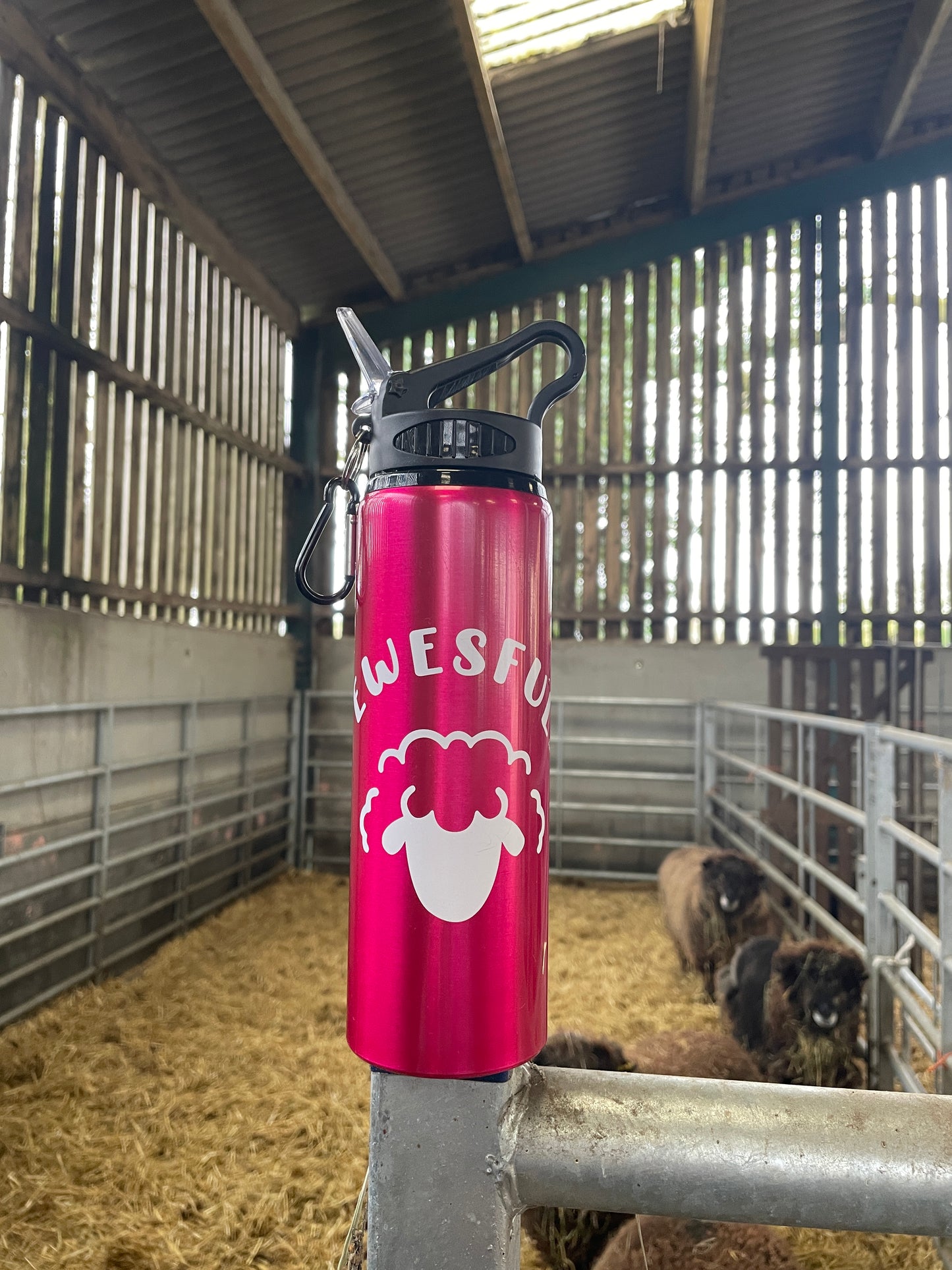 Sheep Logo 800ml Water Bottle (Pink)