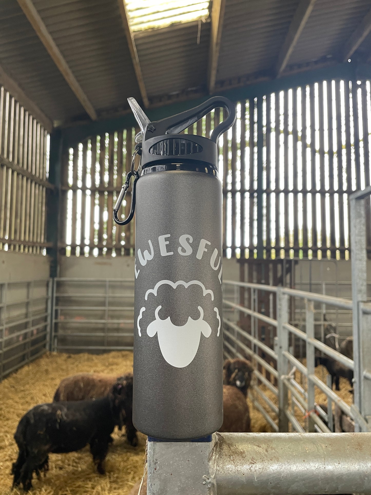 Sheep Logo 800ml Water Bottle (Gun Metal Grey)