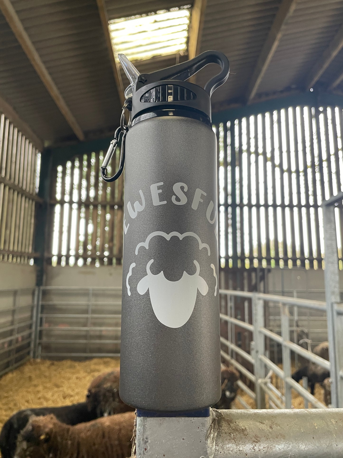 Sheep Logo 800ml Water Bottle (Gun Metal Grey)